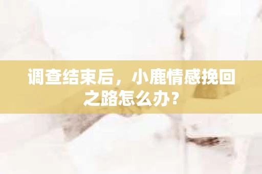 调查结束后，小鹿情感挽回之路怎么办？