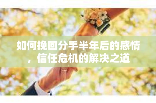 如何挽回分手半年后的感情，信任危机的解决之道