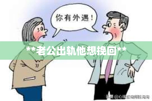 **老公出轨他想挽回**