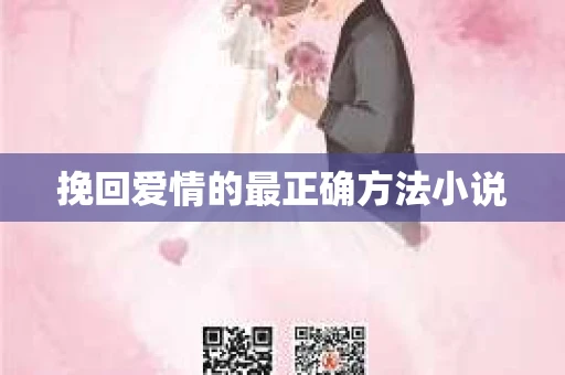 挽回爱情的最正确方法小说