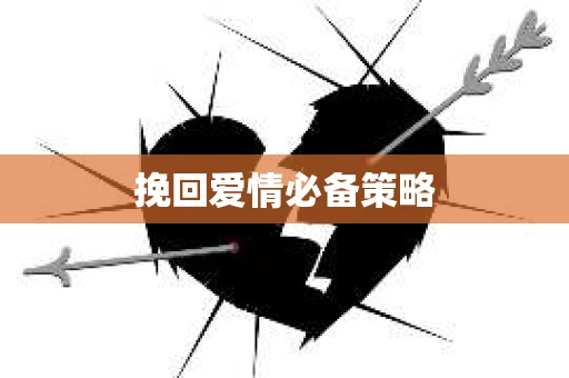 挽回爱情必备策略