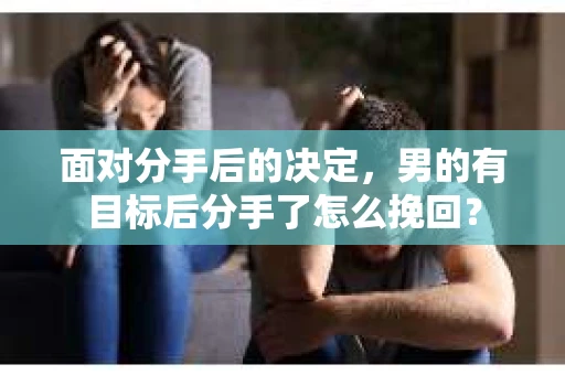 面对分手后的决定，男的有目标后分手了怎么挽回？