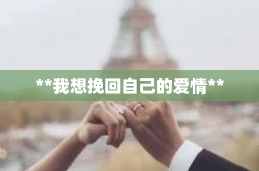 **我想挽回自己的爱情**