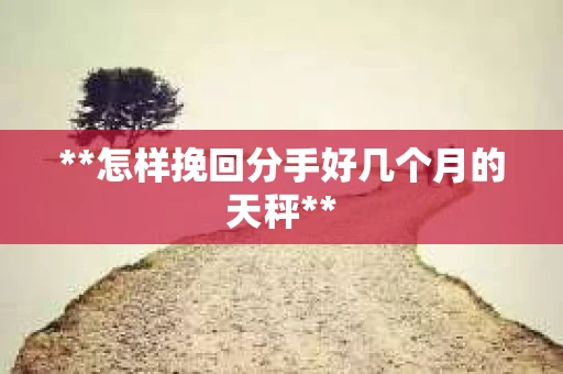 **怎样挽回分手好几个月的天秤**
