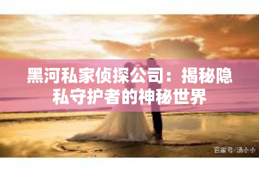 黑河私家侦探公司：揭秘隐私守护者的神秘世界