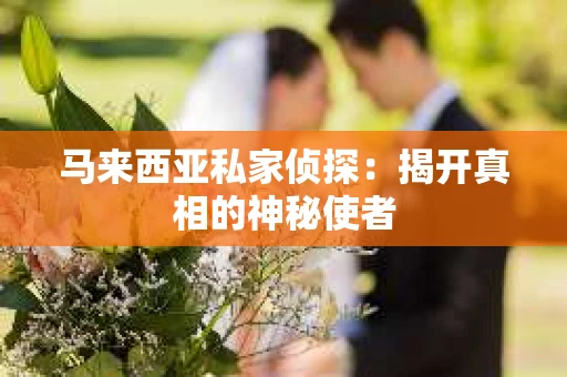 马来西亚私家侦探：揭开真相的神秘使者