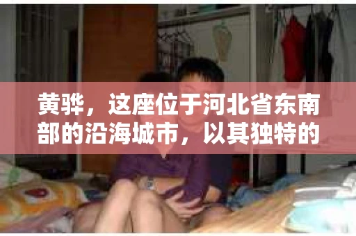 黄骅，这座位于河北省东南部的沿海城市，以其独特的地理位置和丰富的历史文化而闻名。然而，在这座城市中，还有一群人，他们以另一种方式默默守护着社会的公平与正义——私家侦探。今天，我们就来聊聊黄骅的私家侦探，看看他们是如何在这个城市中发挥作用的。