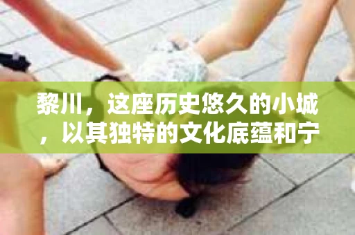 黎川,这座历史悠久的小城,以其独特的文化底蕴和宁静的生活节奏吸引着无数游客。然而,在这样一个看似平静的城市里,你是否会好奇,有没有私家侦探机构的存在呢?今天,就让我带你一探究竟。 黎川,这座历史悠久的小城,以其独特的文化底蕴和宁静的生活节奏吸引着无数游客。然而,在这样一个看似平静的城市里,你是否会好奇,有没有私家侦探机构的存在呢?今天,就让我带你一探究竟。