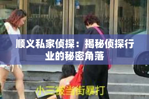 顺义私家侦探：揭秘侦探行业的秘密角落
