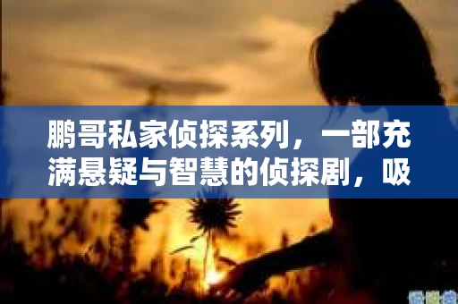 鹏哥私家侦探系列，一部充满悬疑与智慧的侦探剧，吸引了无数观众的眼球。今天，就让我带你走进这个充满神秘色彩的侦探世界，一起在线观看鹏哥私家侦探系列，感受那扣人心弦的故事情节。