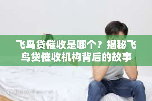 飞鸟贷催收是哪个？揭秘飞鸟贷催收机构背后的故事