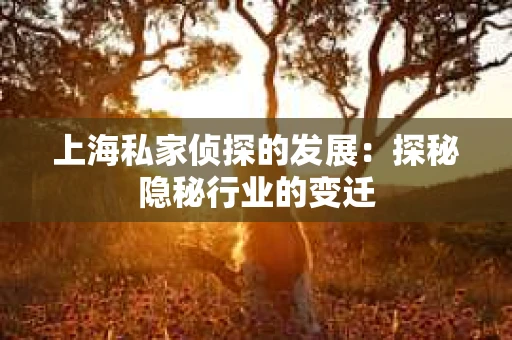 上海私家侦探的发展：探秘隐秘行业的变迁