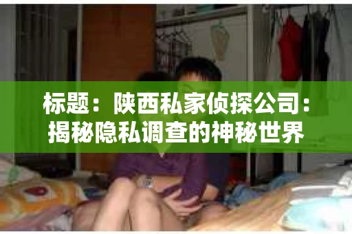 标题：陕西私家侦探公司：揭秘隐私调查的神秘世界