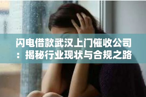 闪电借款武汉上门催收公司：揭秘行业现状与合规之路