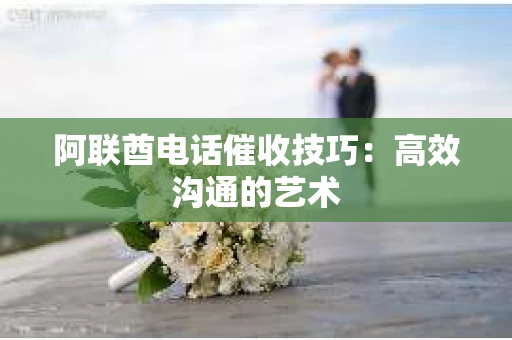 阿联酋电话催收技巧：高效沟通的艺术