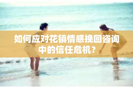 如何应对花镇情感挽回咨询中的信任危机？