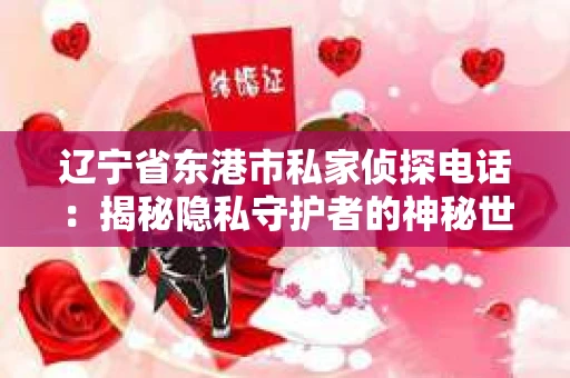 辽宁省东港市私家侦探电话：揭秘隐私守护者的神秘世界