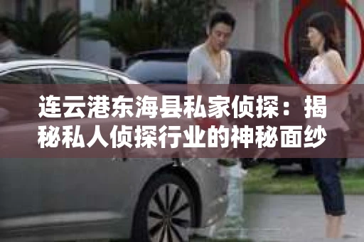 连云港东海县私家侦探：揭秘私人侦探行业的神秘面纱