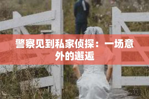 警察见到私家侦探：一场意外的邂逅