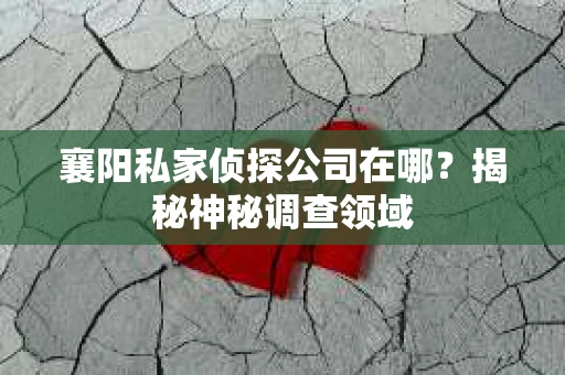 襄阳私家侦探公司在哪？揭秘神秘调查领域