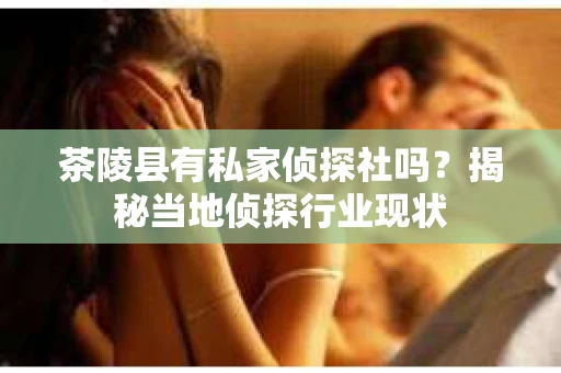 茶陵县有私家侦探社吗？揭秘当地侦探行业现状