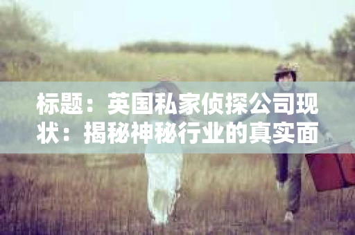 标题：英国私家侦探公司现状：揭秘神秘行业的真实面貌
