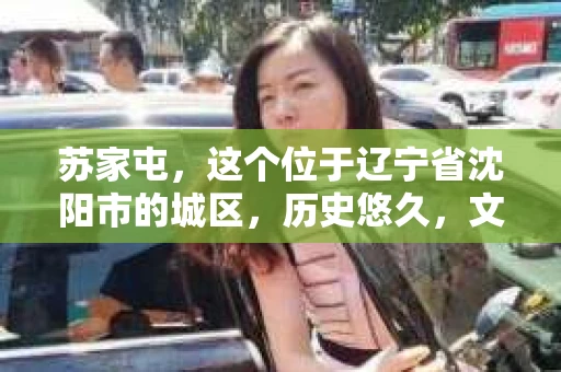 苏家屯，这个位于辽宁省沈阳市的城区，历史悠久，文化底蕴深厚。近年来，随着社会的发展，人们对于私家侦探的需求也逐渐增加。那么，苏家屯有私家侦探吗？今天，我们就来聊聊这个话题。