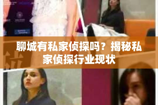 聊城有私家侦探吗？揭秘私家侦探行业现状