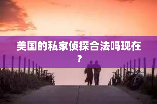 美国的私家侦探合法吗现在？