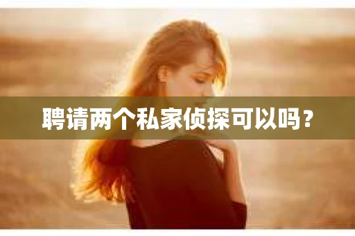 聘请两个私家侦探可以吗？