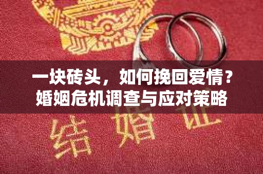 一块砖头,如何挽回爱情?婚姻危机调查与应对策略 一块砖头,如何挽回爱情?婚姻危机调查与应对策略