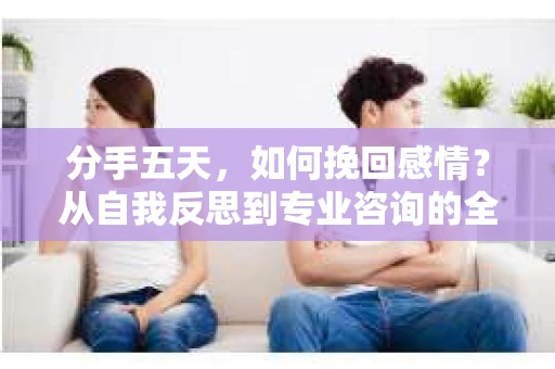 分手五天，如何挽回感情？从自我反思到专业咨询的全面解决方案