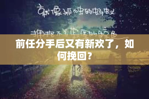 前任分手后又有新欢了，如何挽回？