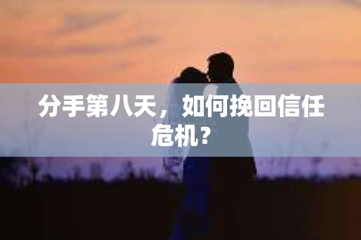 分手第八天，如何挽回信任危机？