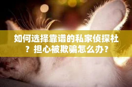 如何选择靠谱的私家侦探社？担心被欺骗怎么办？