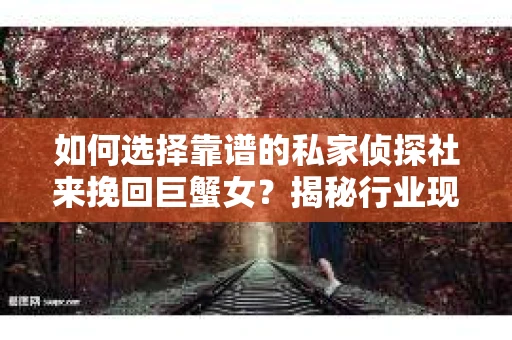如何选择靠谱的私家侦探社来挽回巨蟹女？揭秘行业现状与陷阱，让你轻松避坑