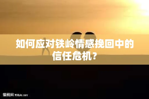 如何应对铁岭情感挽回中的信任危机？