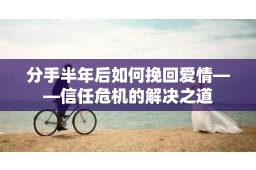 分手半年后如何挽回爱情——信任危机的解决之道